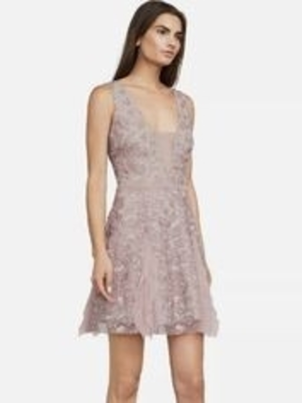 NWT BCBGMAXAZRIA Phoebe Embroidered Tulle Mini Dress in Antique Rose